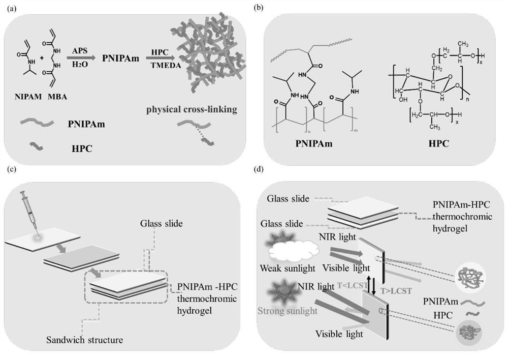 Synthesis method and application of temperature-sensitive intelligent hydrogel based on PNIPAm-HPC