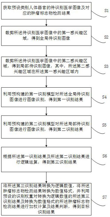 Tumor marker-based medical image recognition method, device, equipment and medium