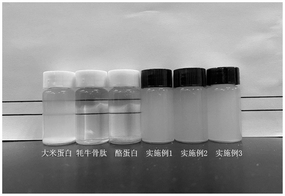 Preparation method and application of ternary polypeptide nanoparticles based on yak bone peptide