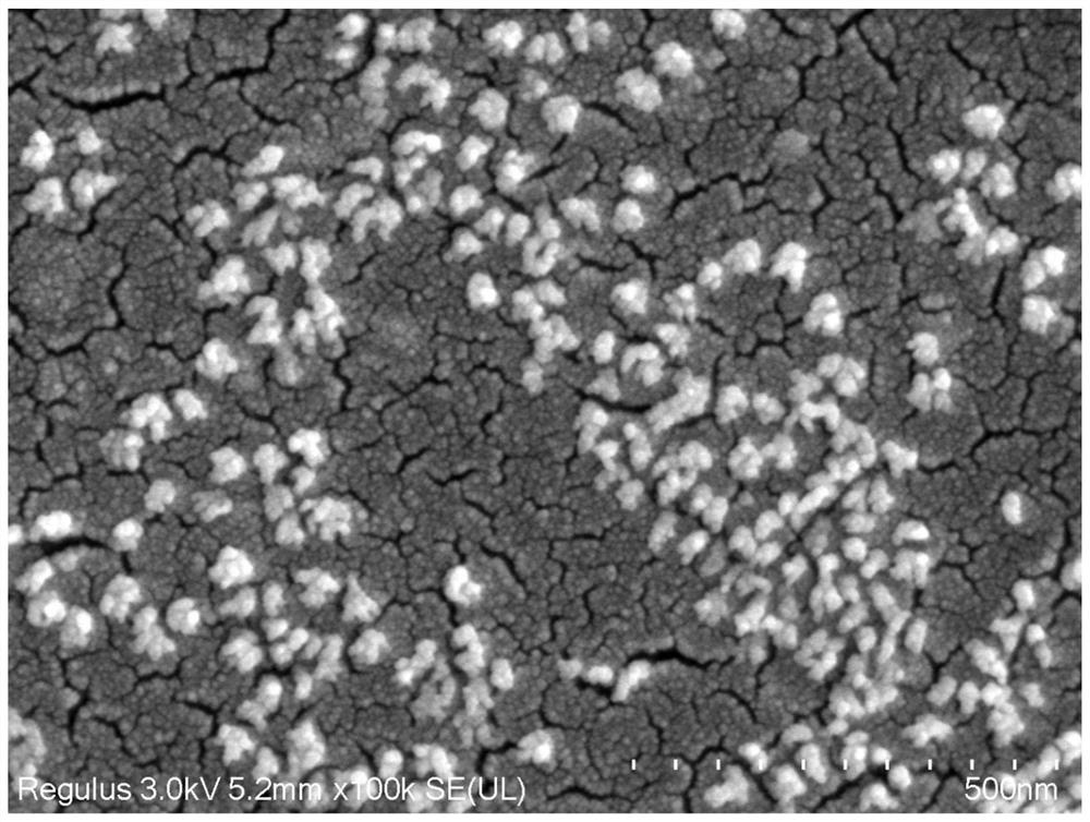 Preparation method and application of ternary polypeptide nanoparticles based on yak bone peptide