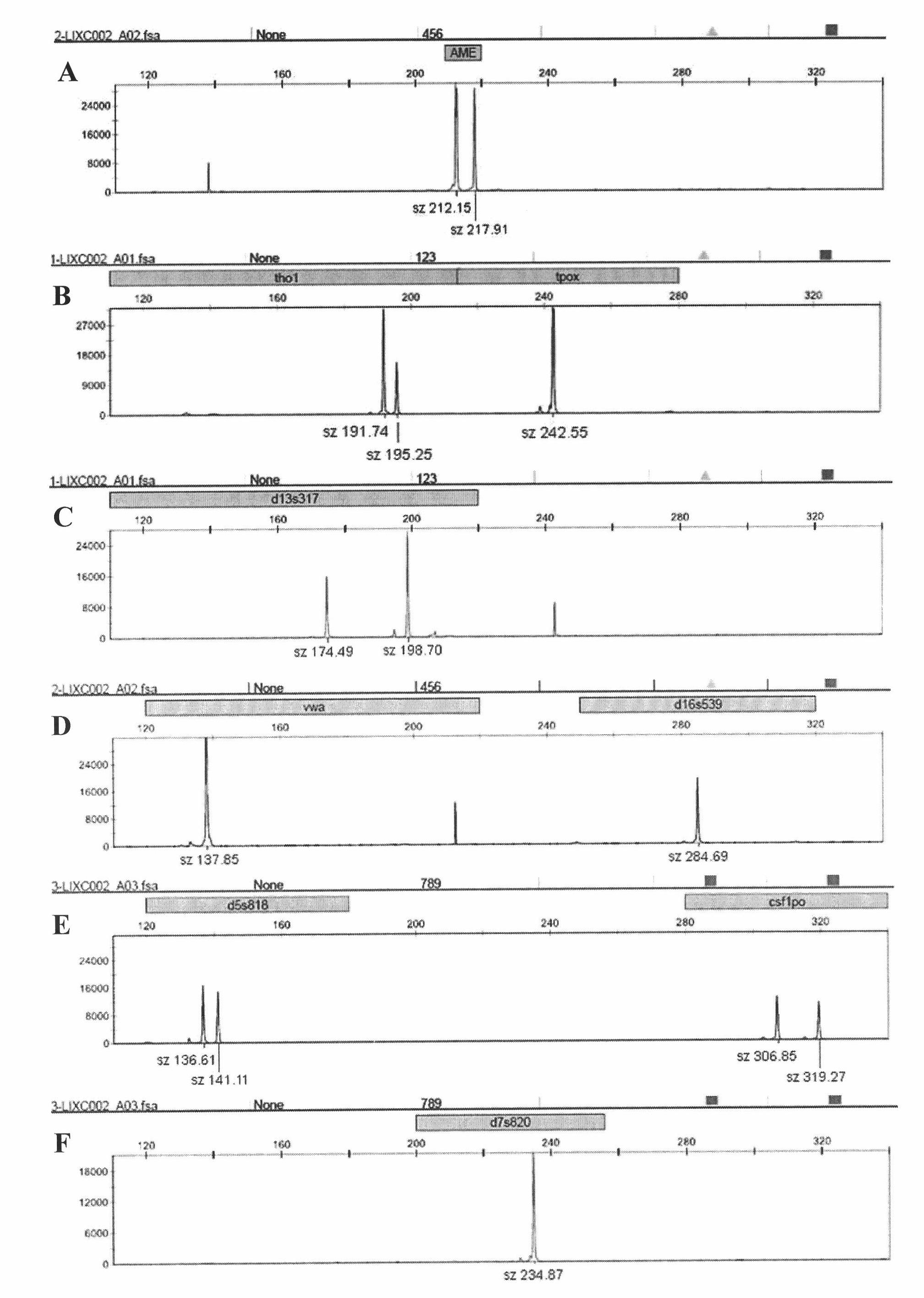 Human hepatoma carcinoma cell line and application thereof