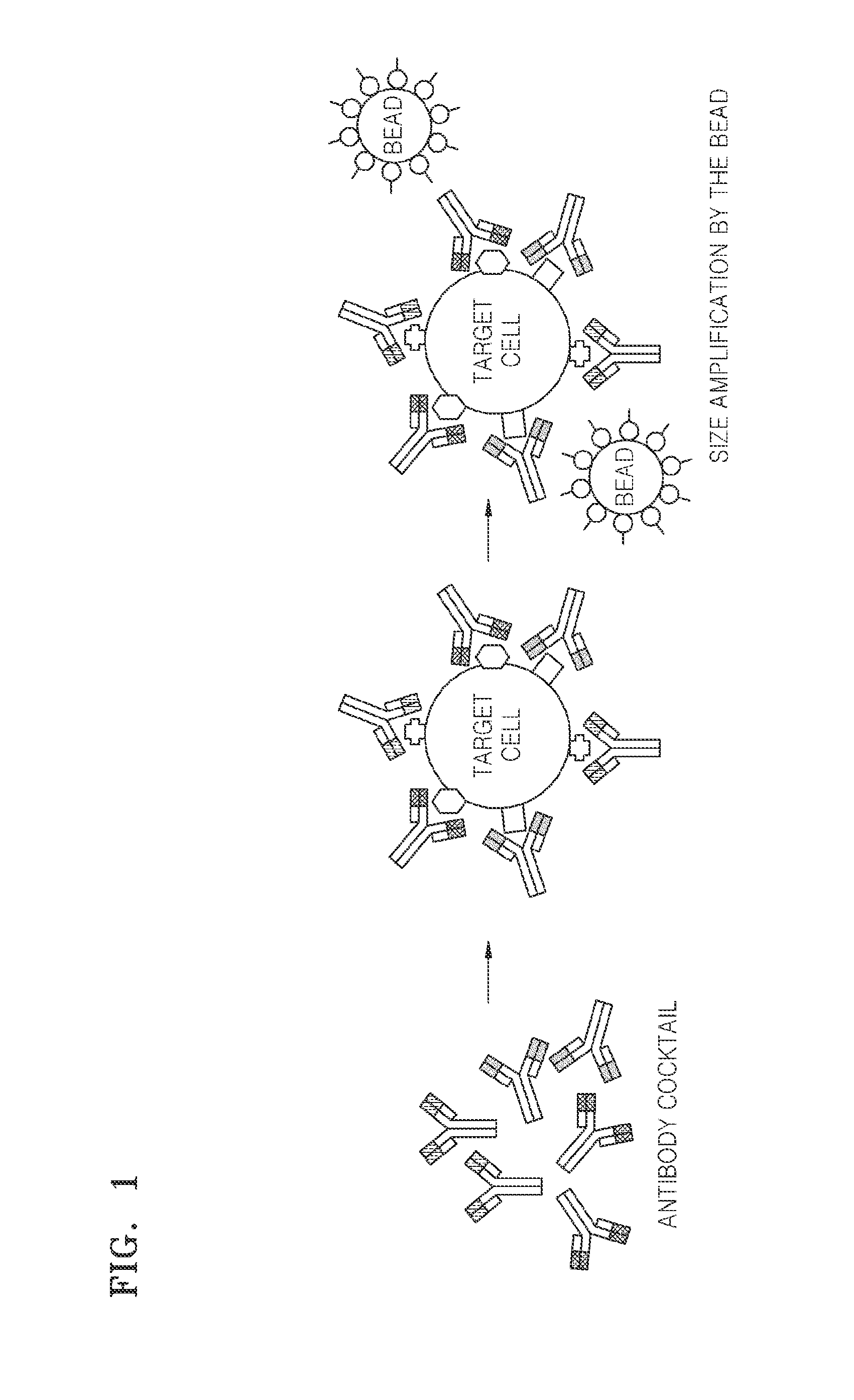 Compositions and kits for separating cells and method of separating cells using the same