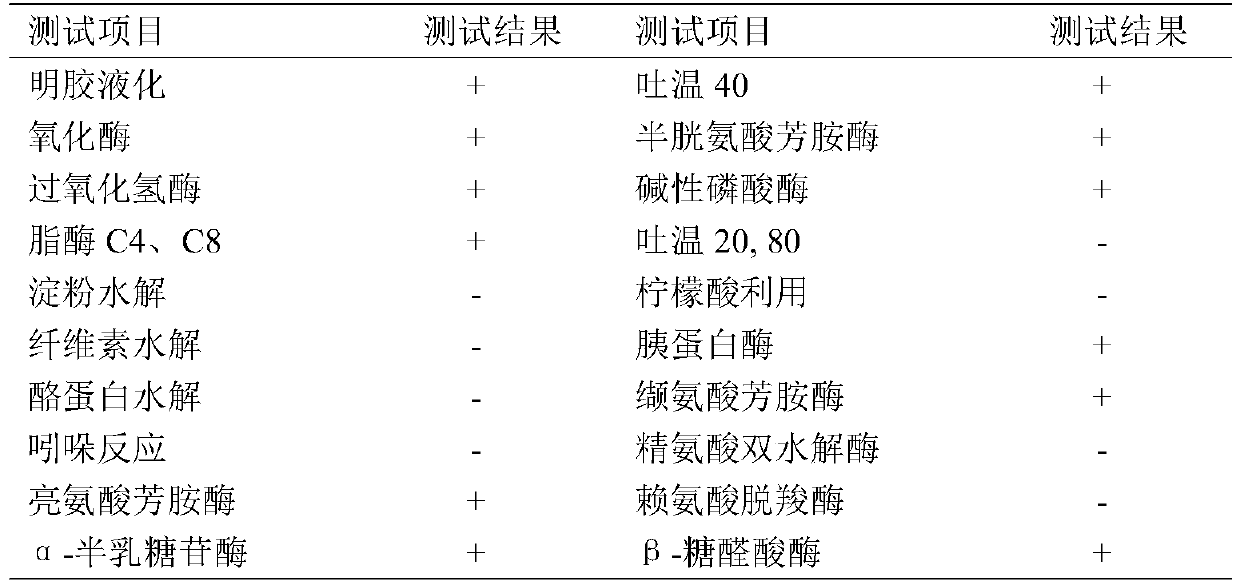 Preparation method and application of Alpinia japonica spice for tobaccos