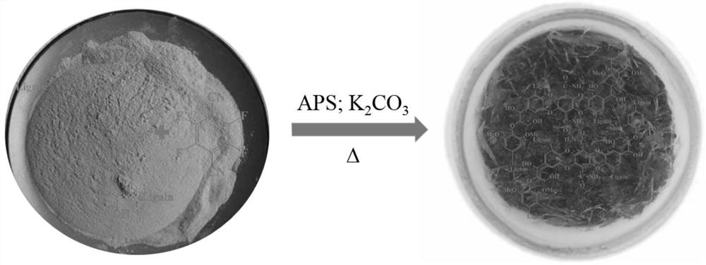 Lignin-based hydrogen bond organic framework nano material as well as preparation method and application thereof