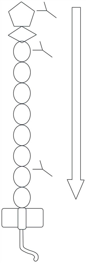 Immunoassay kit for detecting M-type phospholipase A2 receptor IgG and detection method thereof