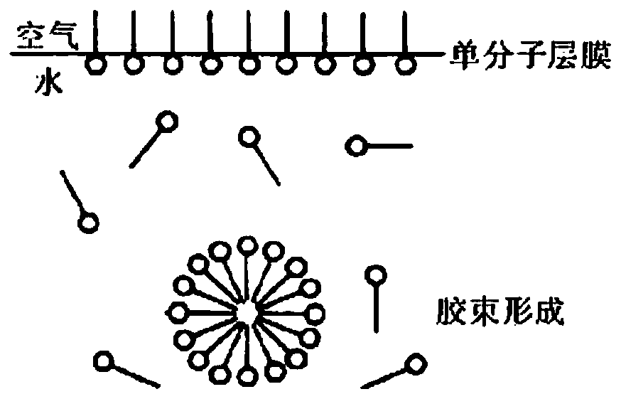 Fulvic acid feather cleaning agent and preparation method thereof