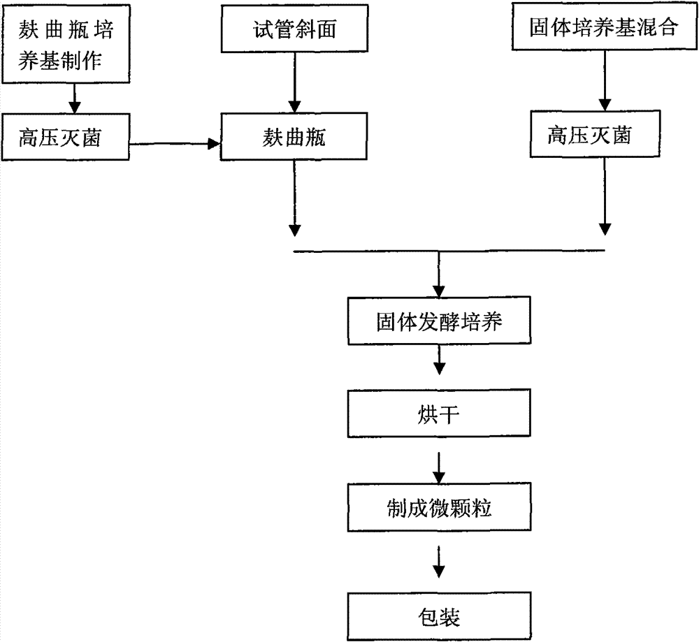 Beta-glucosidase preparing method