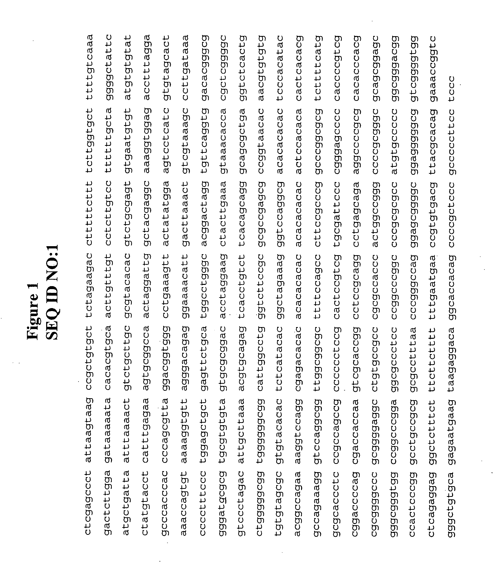 Methods and compositions for the inhibition of gene expression