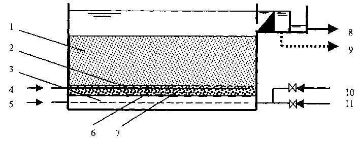 Process for treating sewage with zeolite filler in aerated biologic filter pool