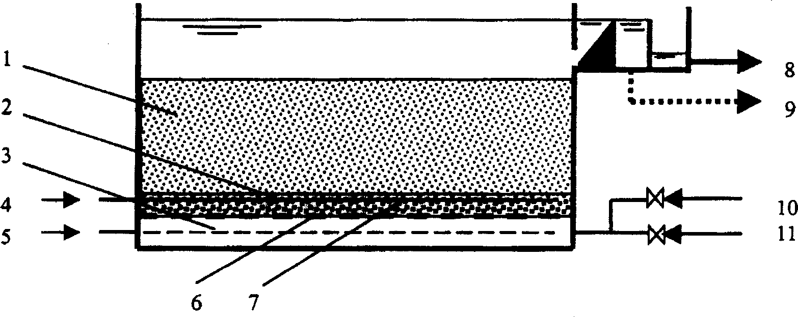 Process for treating sewage with zeolite filler in aerated biologic filter pool