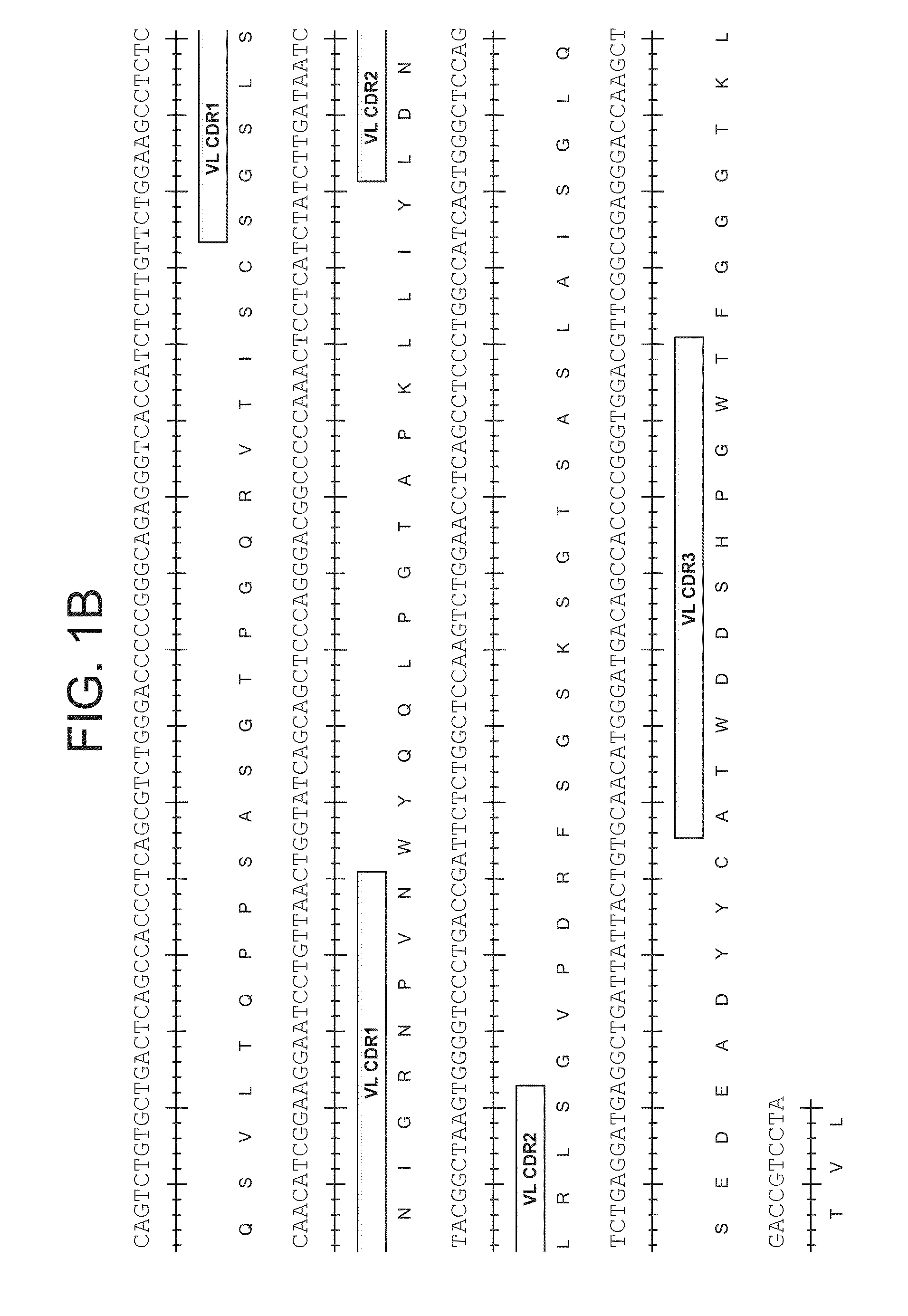 Binding molecules specific for cd73 and uses thereof
