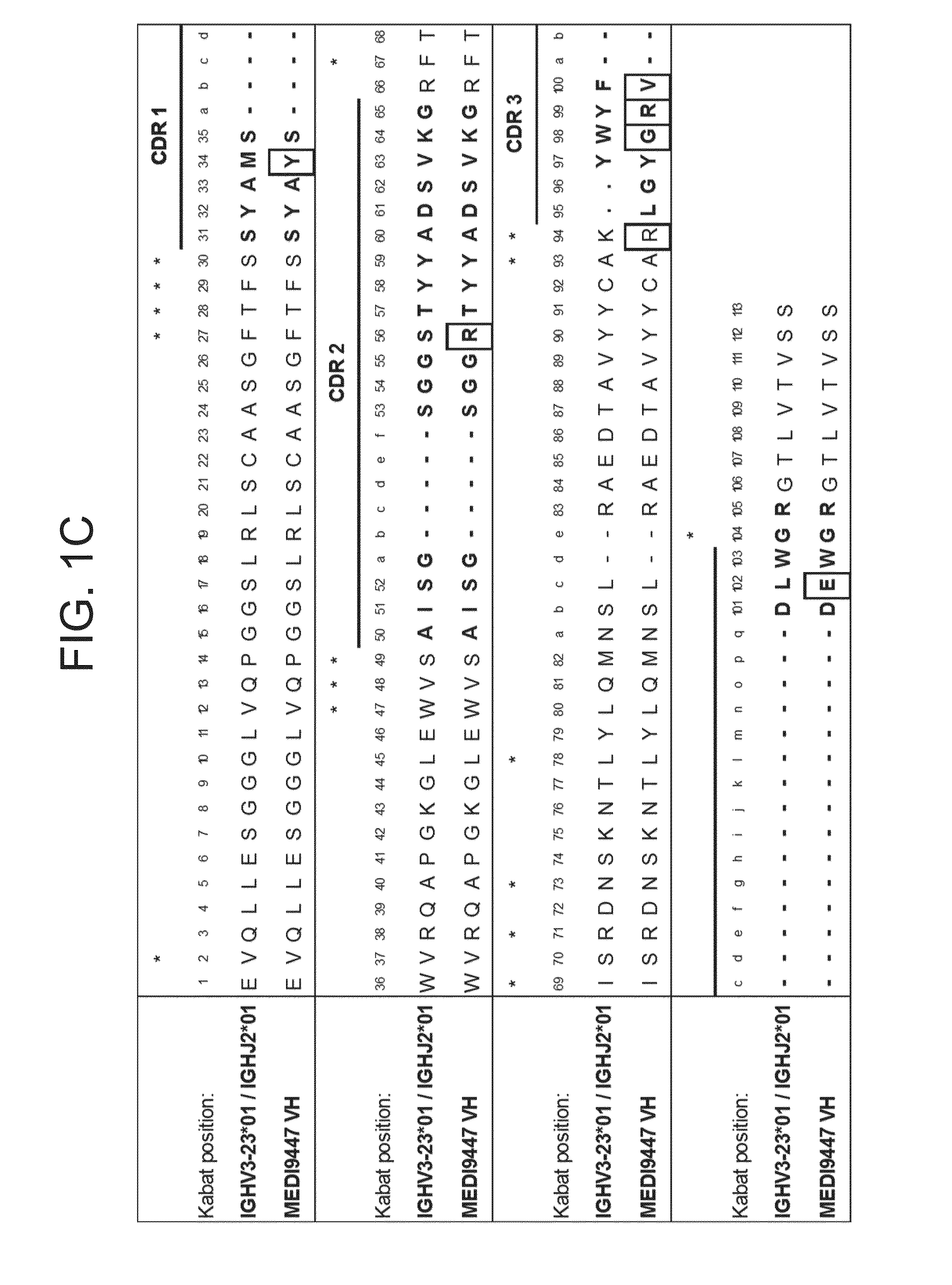 Binding molecules specific for cd73 and uses thereof