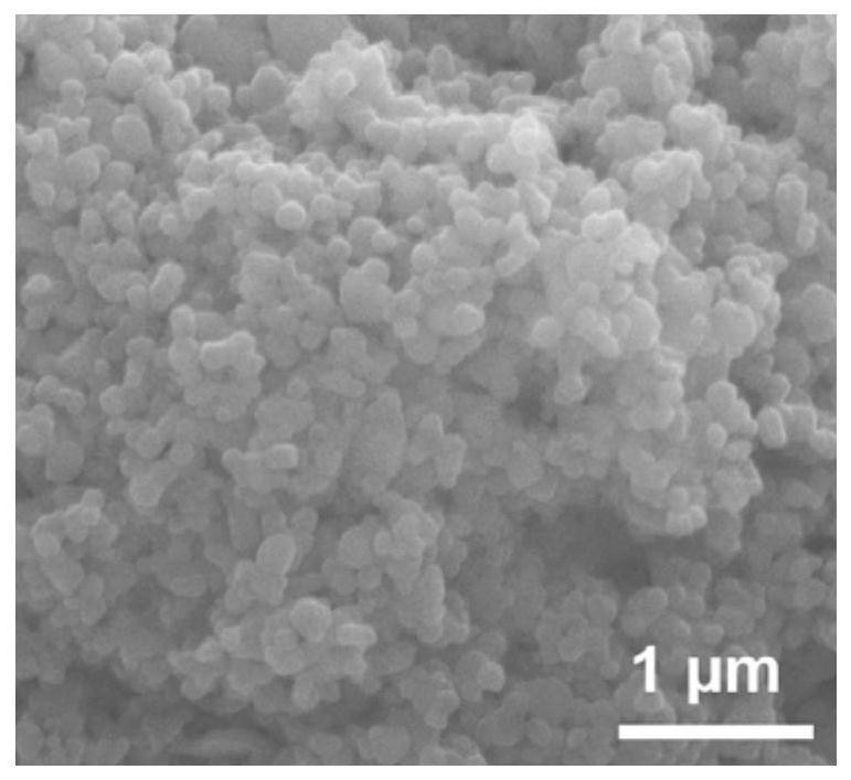 Composite catalyst for electro-Fenton degradation of dye wastewater as well as preparation method and application of composite catalyst