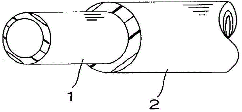 Method for producing hose with protector layer