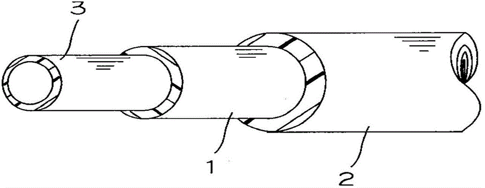 Method for producing hose with protector layer