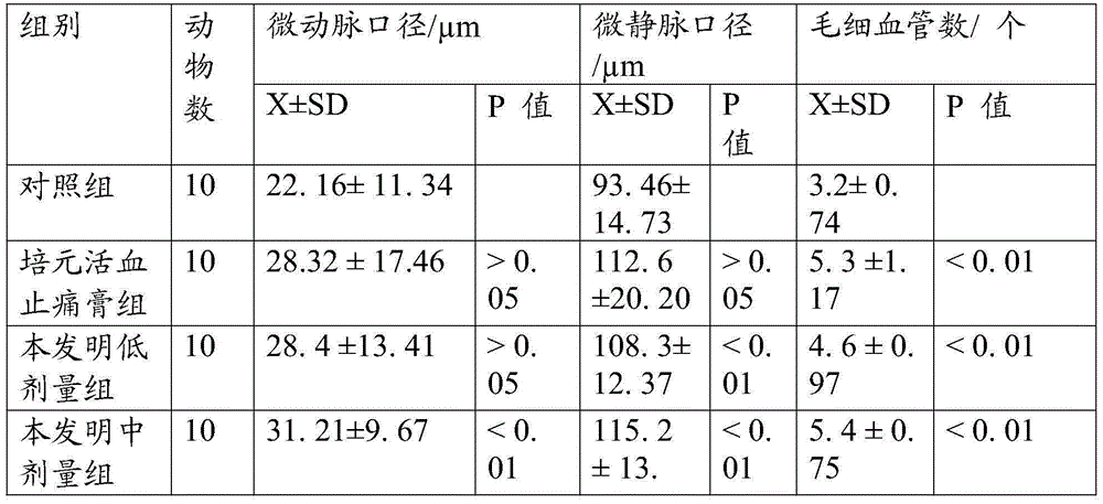 A kind of traditional Chinese medicinal preparation for treating lumbar muscle strain and preparation method thereof