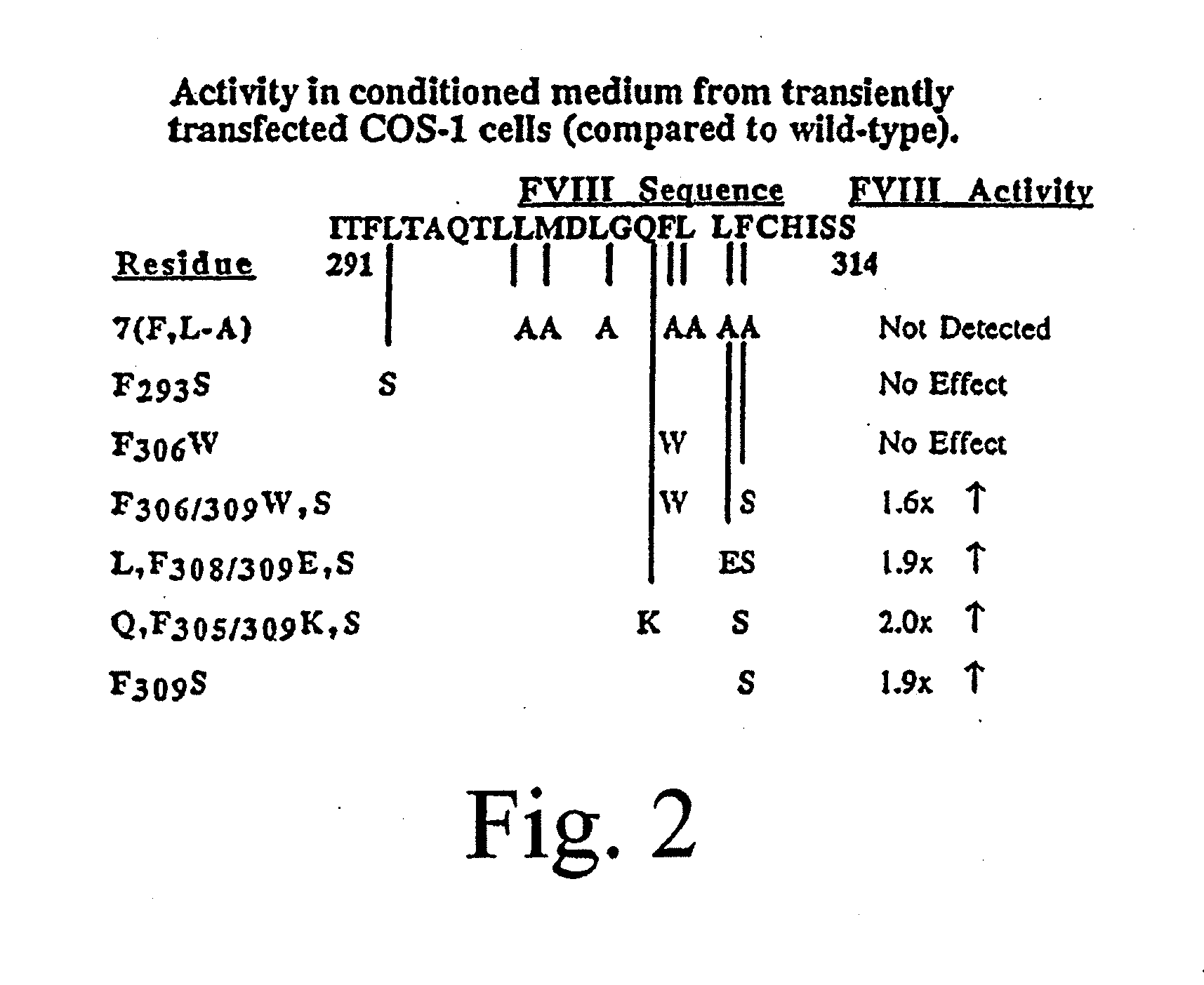 Method of producing factor viii proteins by recombinant methods