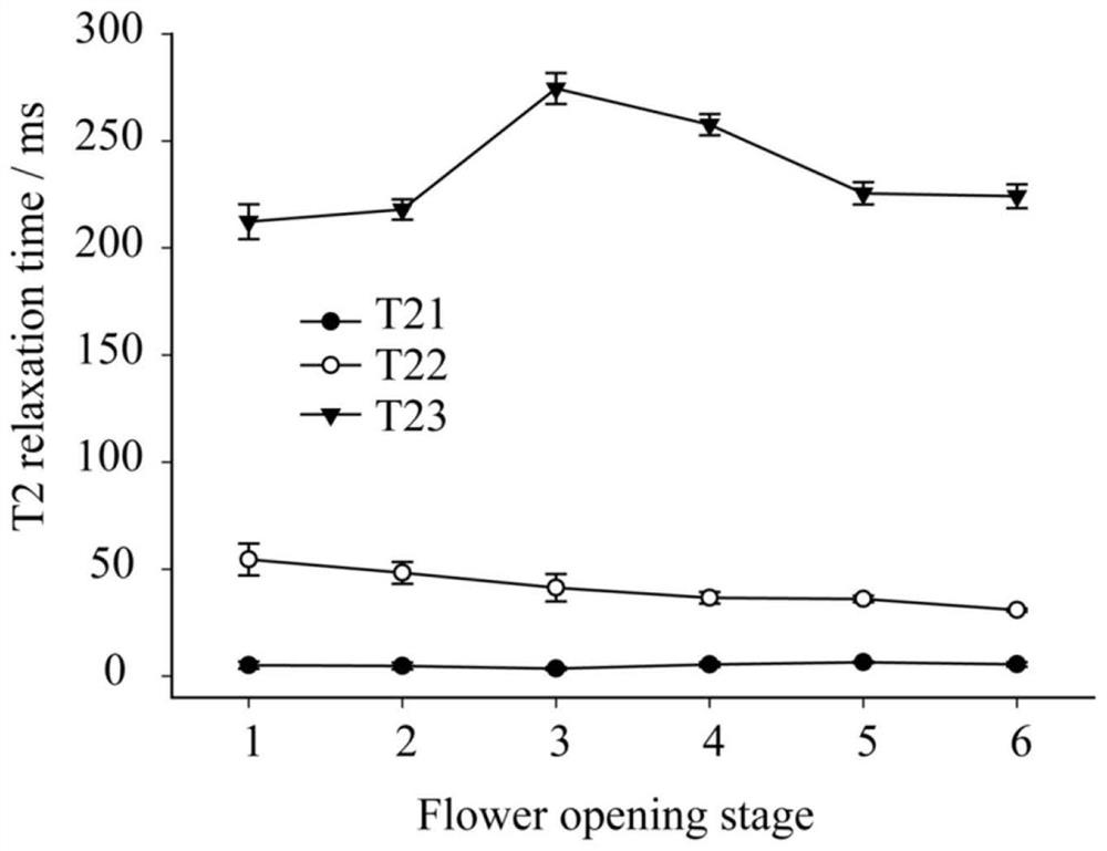 A method of dividing the fresh cut flower water in Tangyu Pu