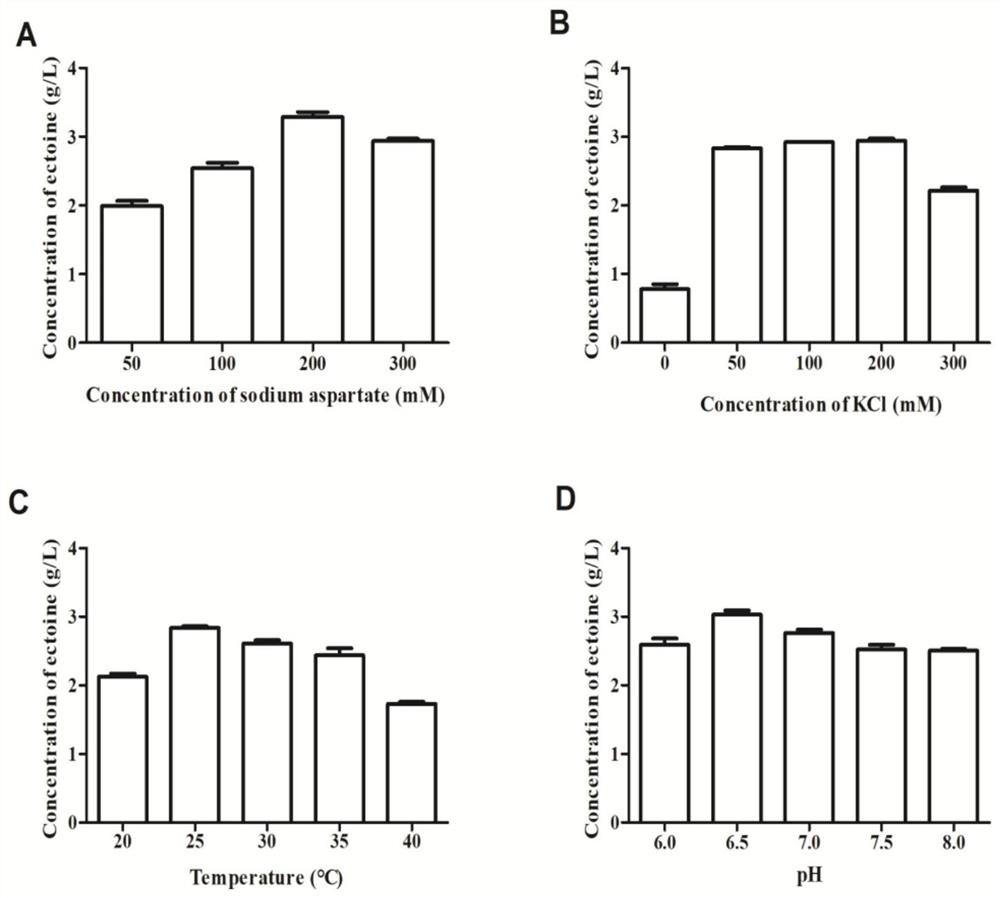 A kind of construction method of engineering strain for producing tetrahydropyrimidine by biological method