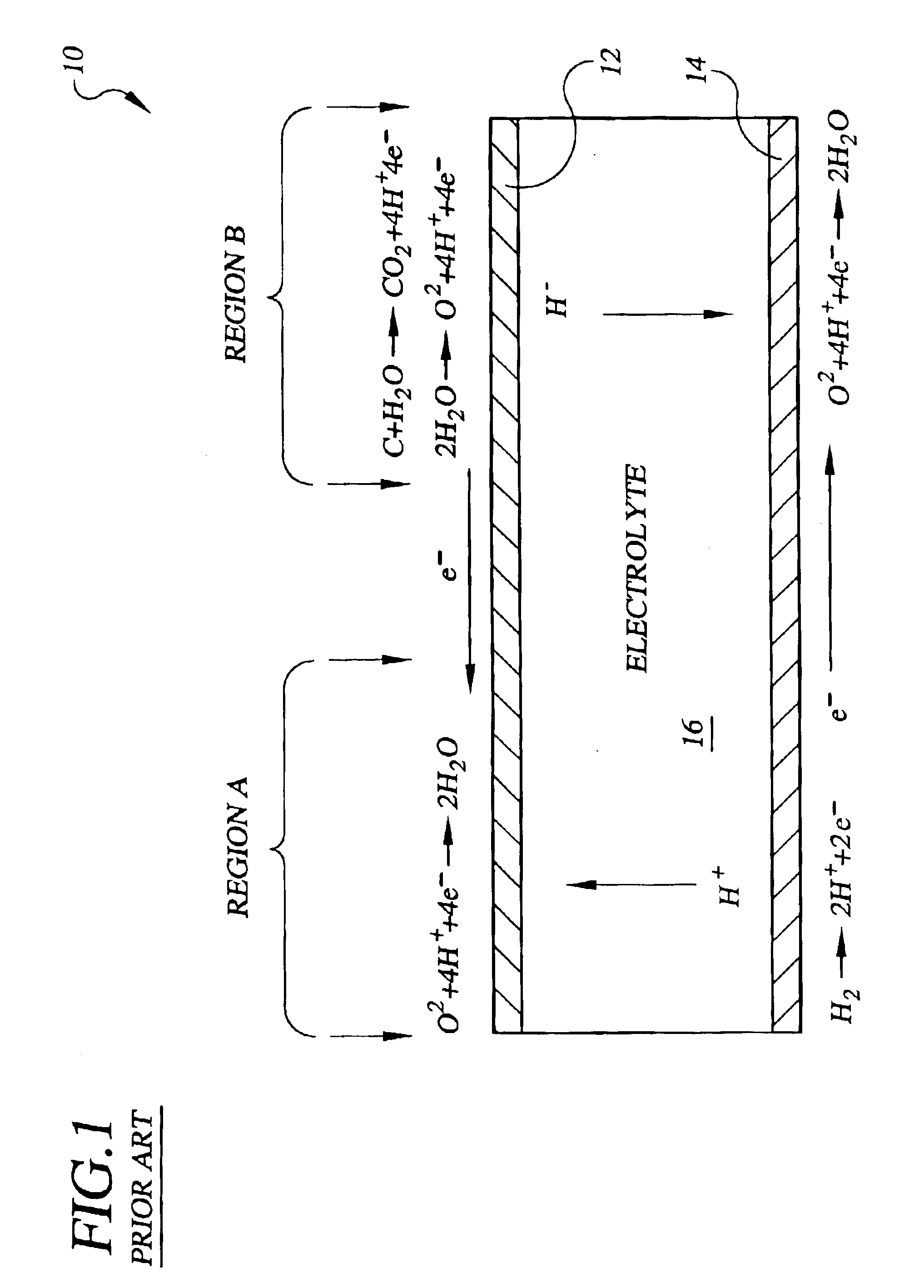 Fuel cell having a corrosion resistant and protected cathode catalyst layer