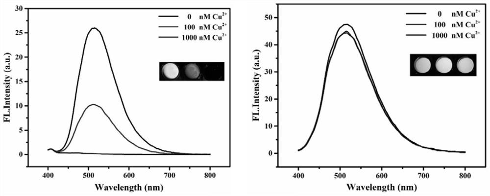 Fluorescent probe for detecting copper ions as well as preparation method, detection method and application of fluorescent probe