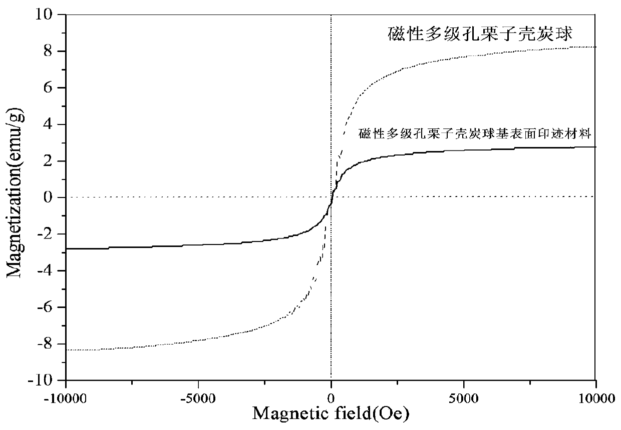 Magnetic hierarchically porous chestnut shell carbon sphere based surface imprinting material, and preparation method and applications thereof