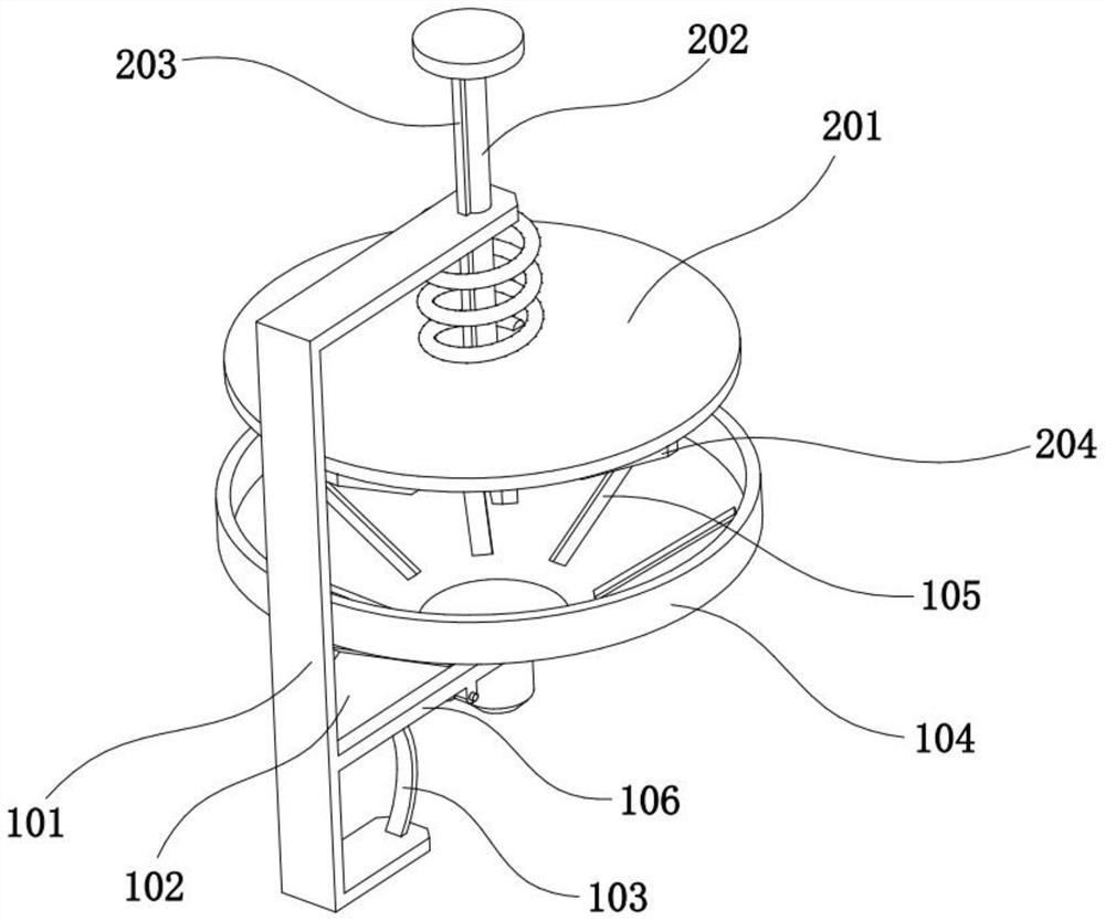 Beer and preparation method thereof