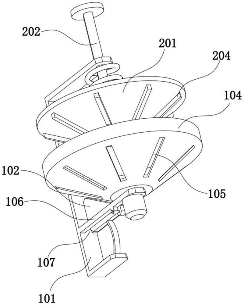 Beer and preparation method thereof