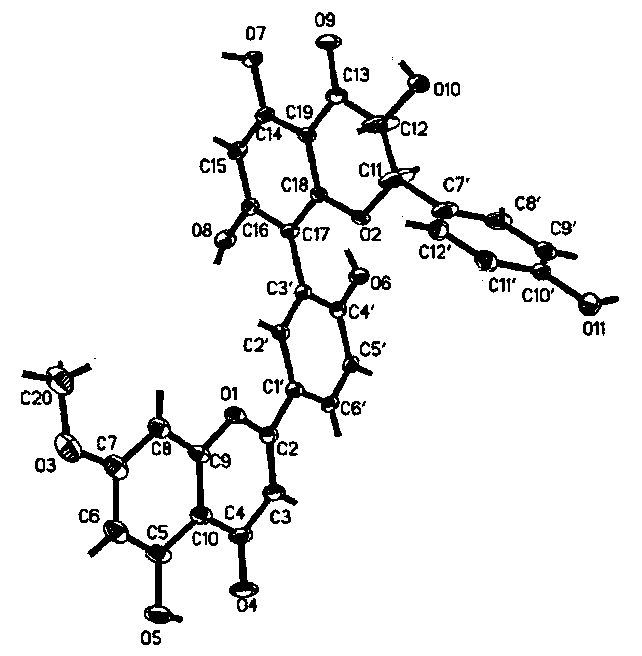 A kind of compound with antitussive effect and its preparation and application