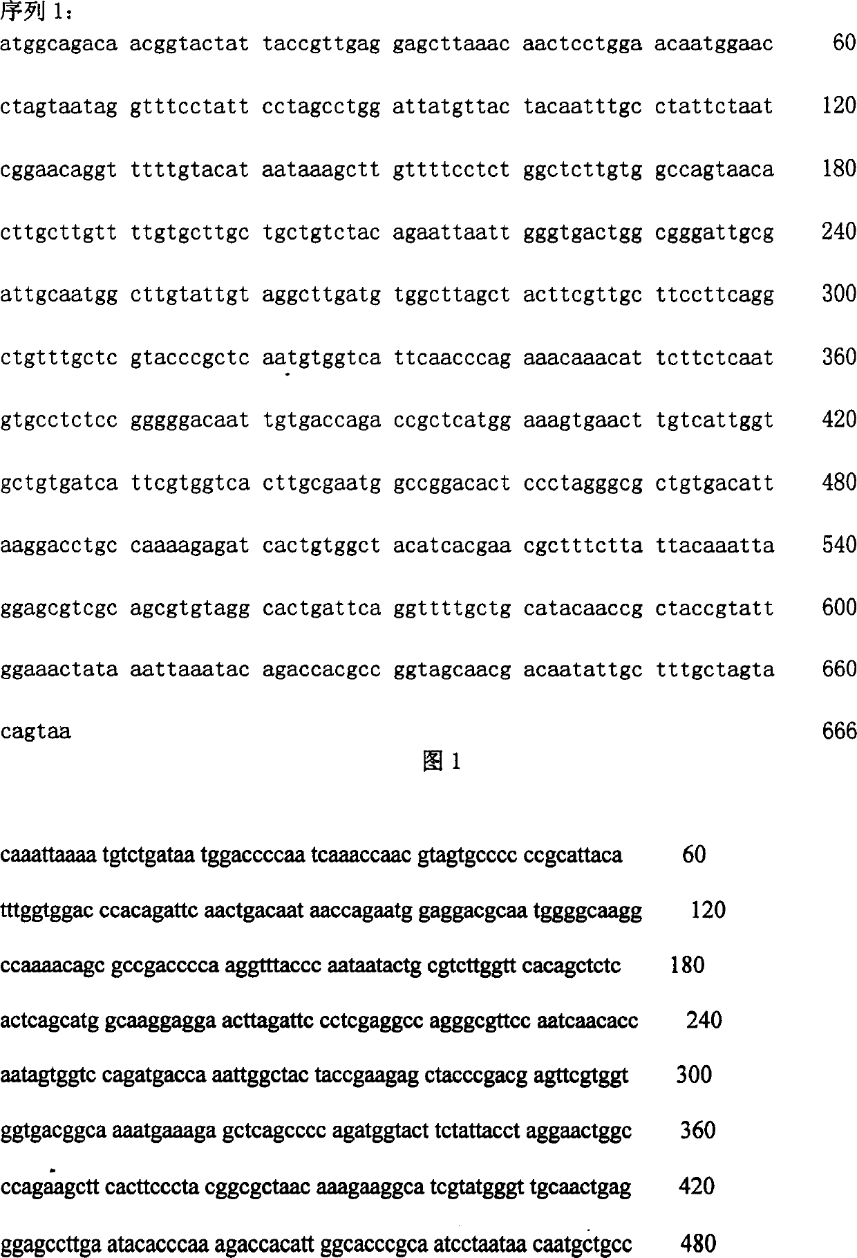 Vaccine against SARS virogene and its construction and use