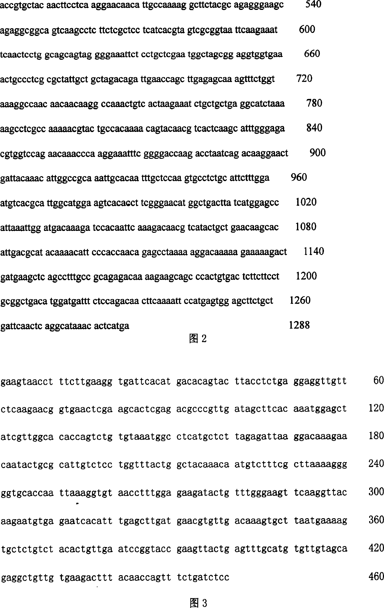 Vaccine against SARS virogene and its construction and use