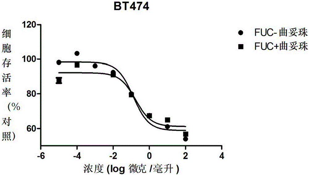 Fucose-removed anti-HER2 antibody and application thereof