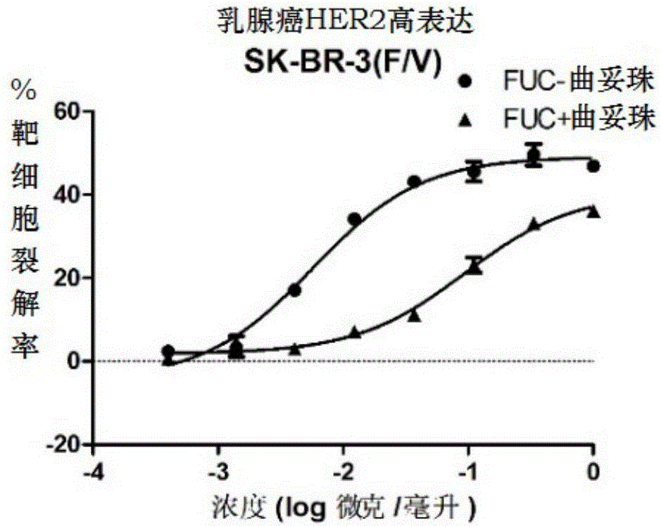 Fucose-removed anti-HER2 antibody and application thereof