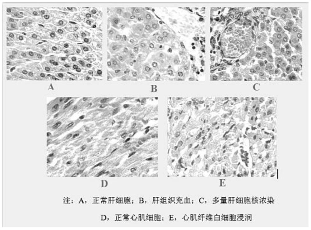 Construction and application of a guinea pig animal model infected with Streptococcus suis type 9
