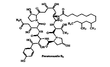 Method for separating and purifying Pneumocandins B0