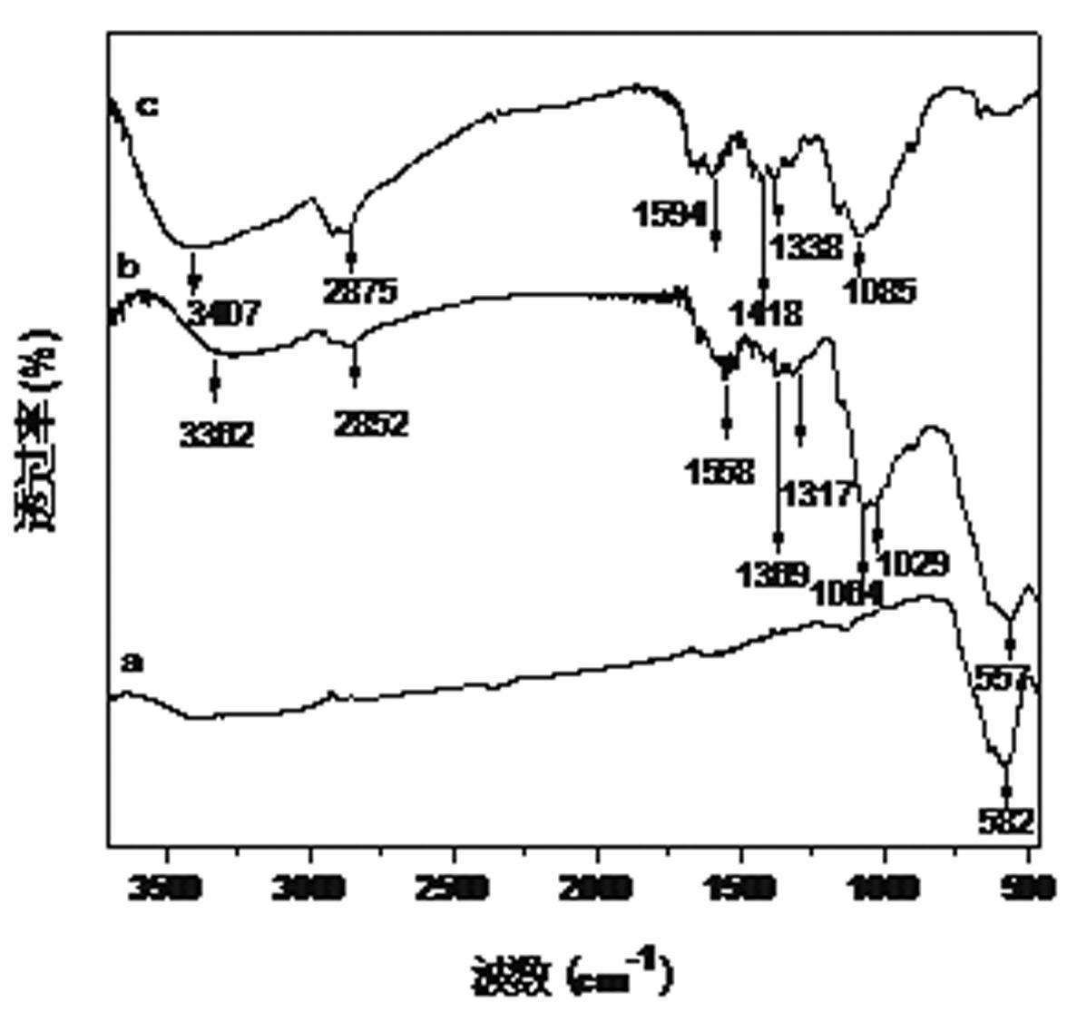 Chitosan magnetic nano particle as well as preparation method and application thereof