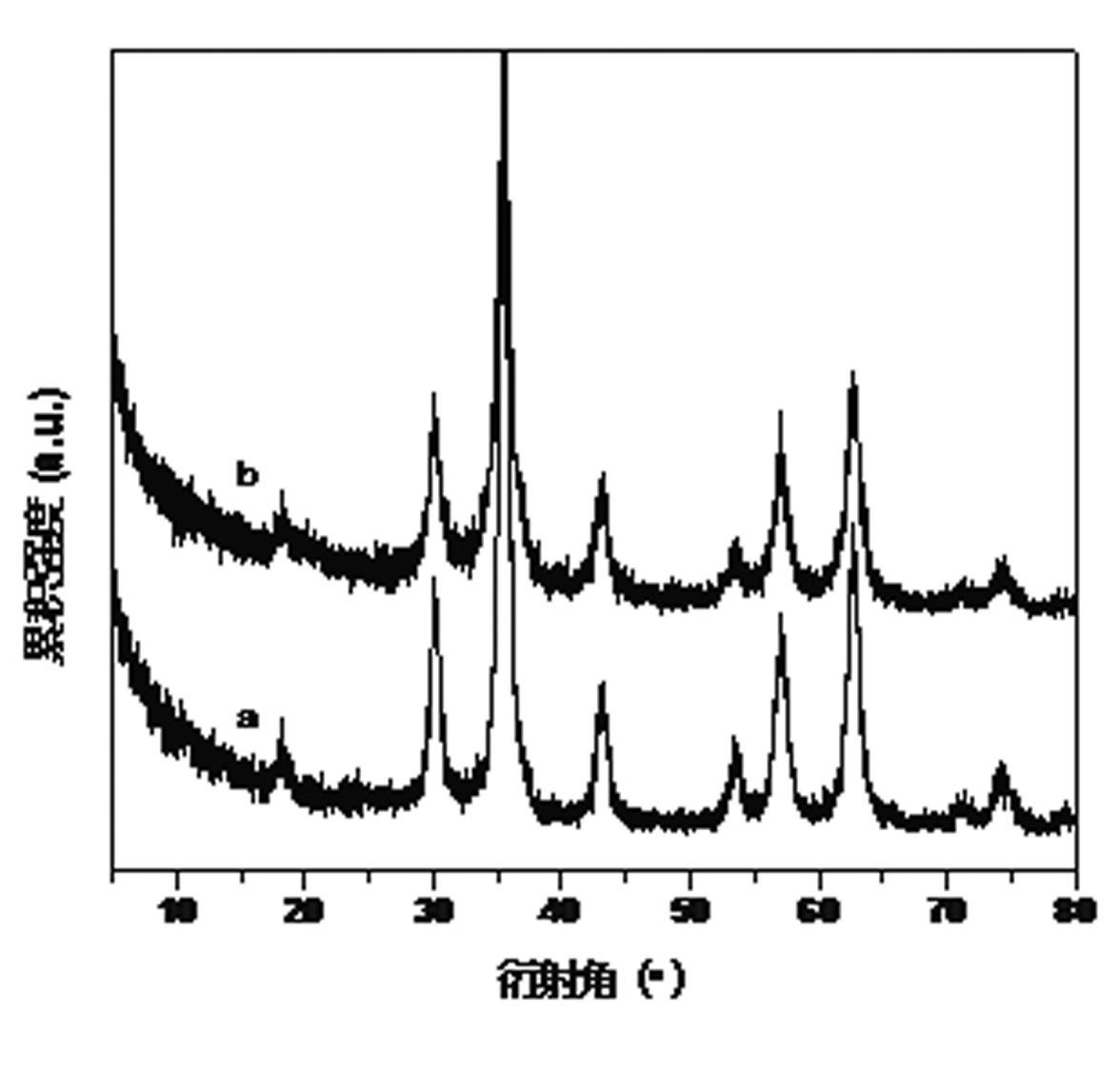 Chitosan magnetic nano particle as well as preparation method and application thereof