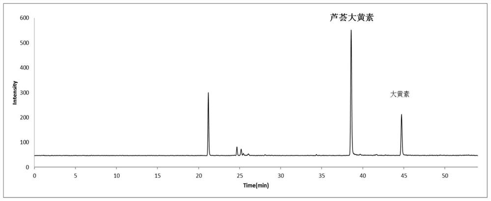 Liquid chromatography-tandem mass spectrometry detection method for emodin and aloe-emodin in mouse urine