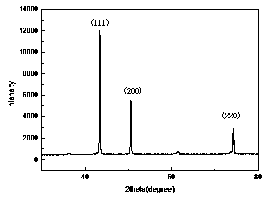 Micron-scale elemental copper catalyst and preparation method and application thereof