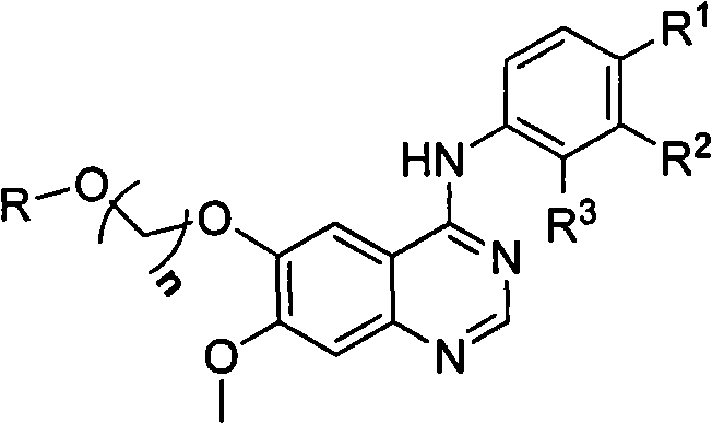 Series of quinazoline sugar derivatives used as protein tyrosine kinase inhibitor, preparation method and application thereof