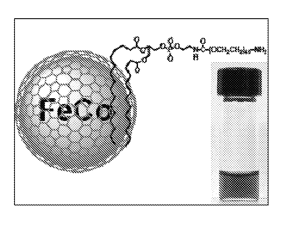 Multifunctional metal-graphite nanocrystals