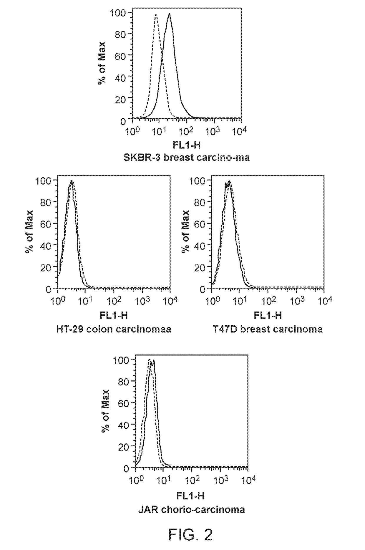 Car t-cells for the treatment of b7-h4 expressing solid tumors