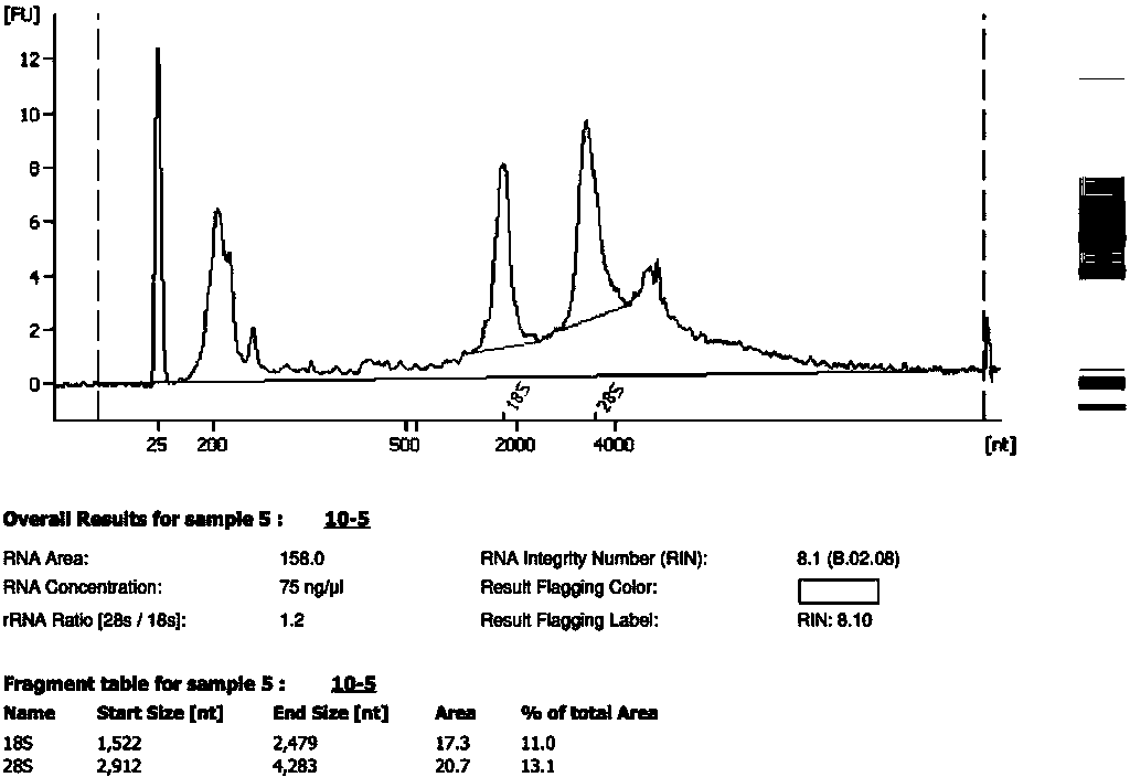 Method for extracting RNA from calcified tissue