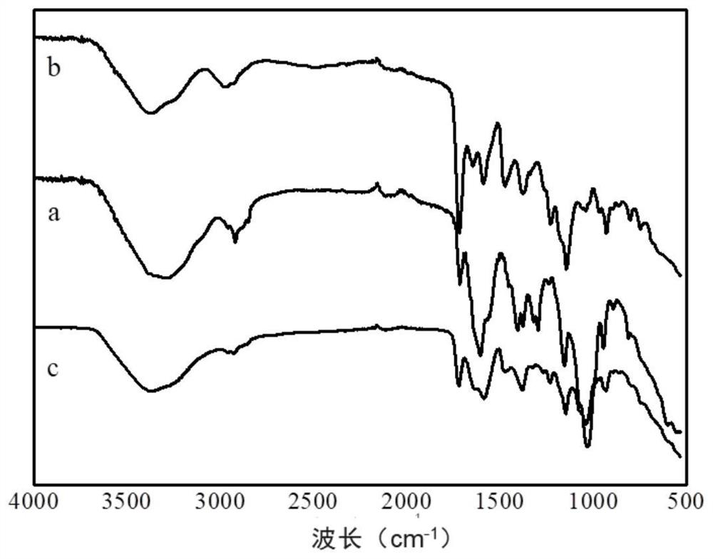 Preparation method of modified polysaccharide hydrogel and prepared modified polysaccharide hydrogel