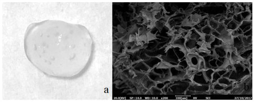 Preparation method of modified polysaccharide hydrogel and prepared modified polysaccharide hydrogel