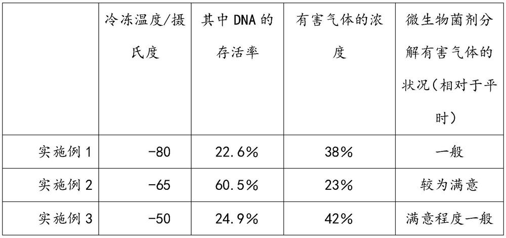 Preparation process of ecological microbial agent