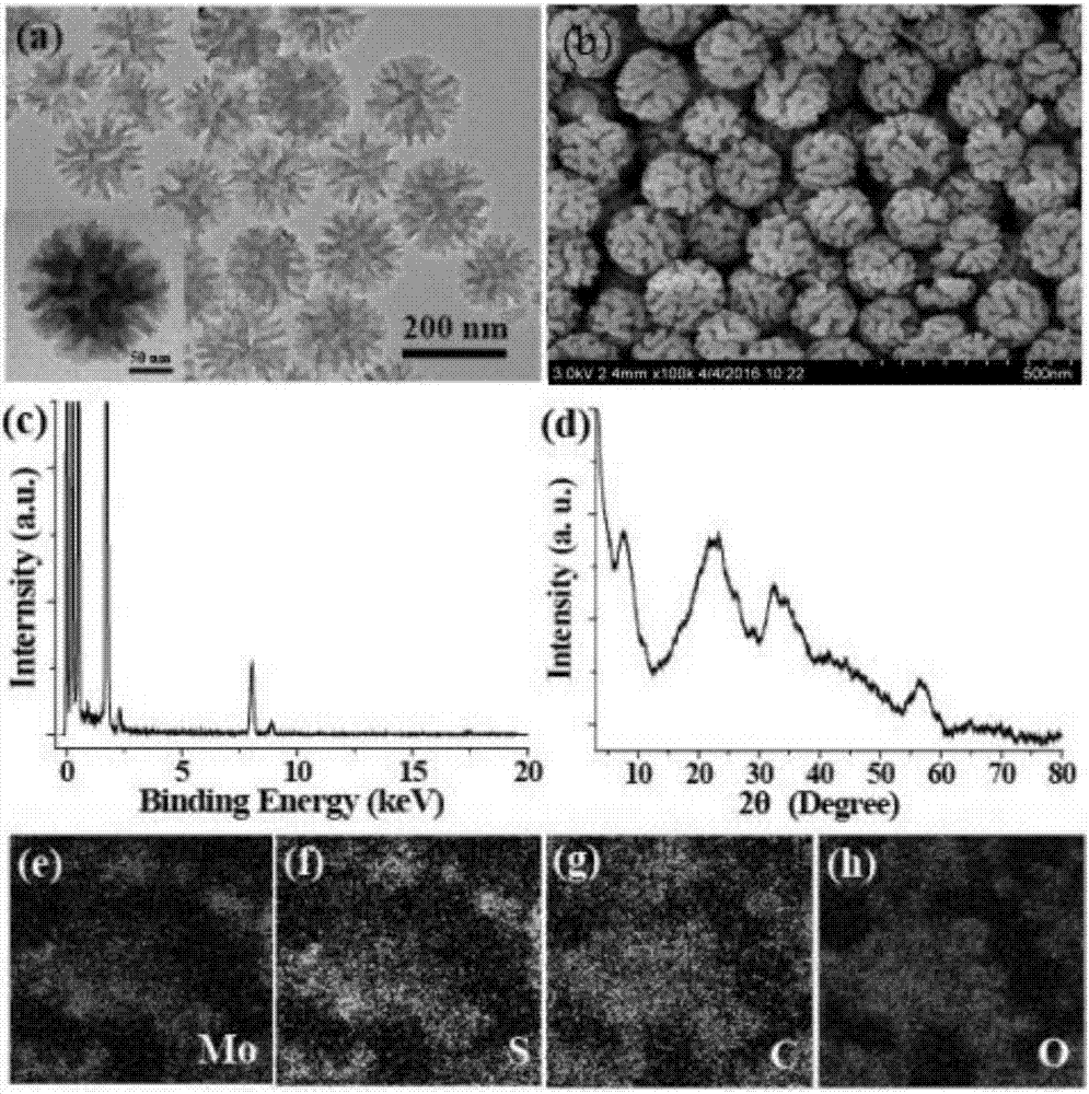 Preparation method and application of mesoporous SiO2/MoS2 material