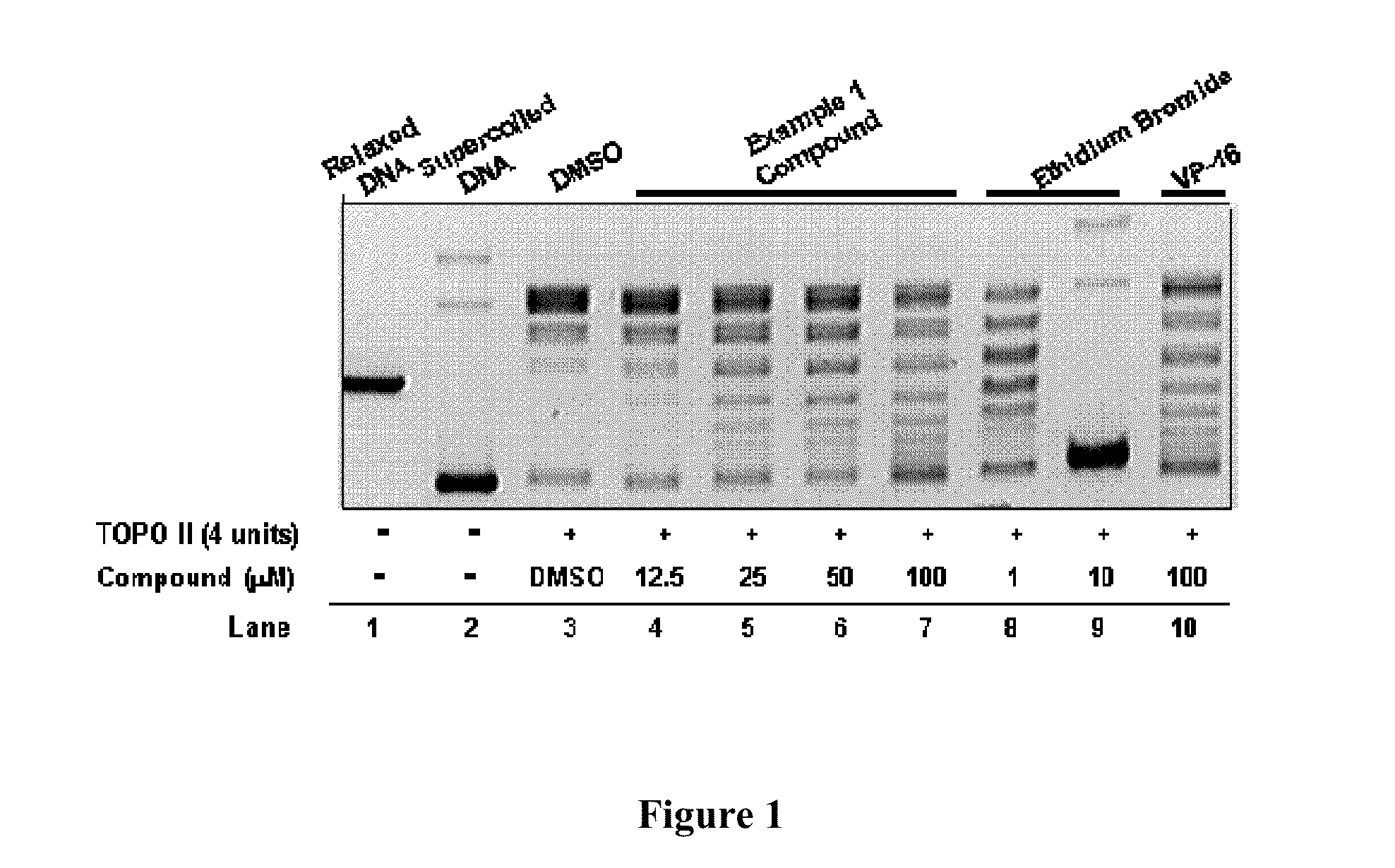 Compounds and therapeutical uses thereof