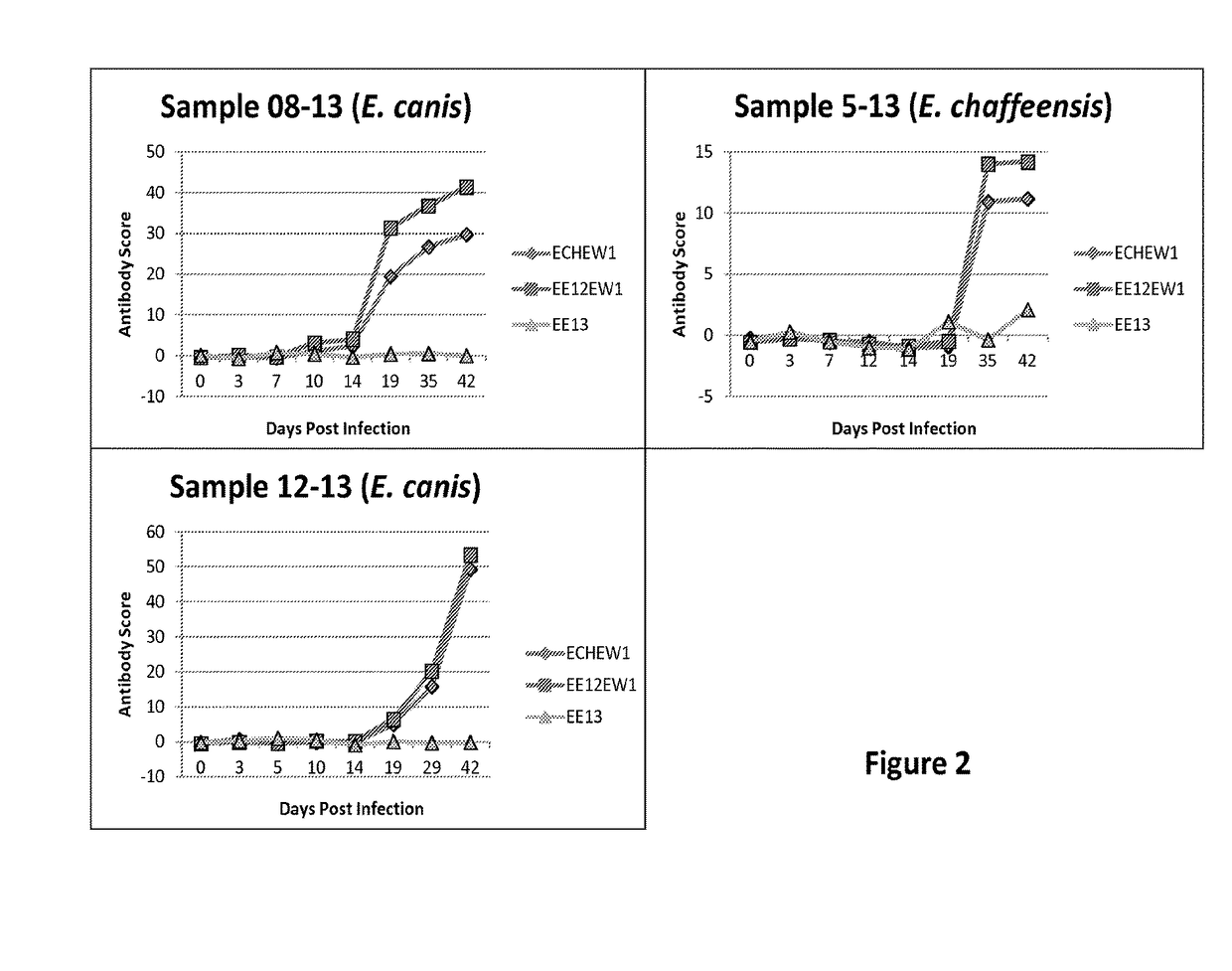 Compositions and methods for identifying <i>Ehrlichia </i>species