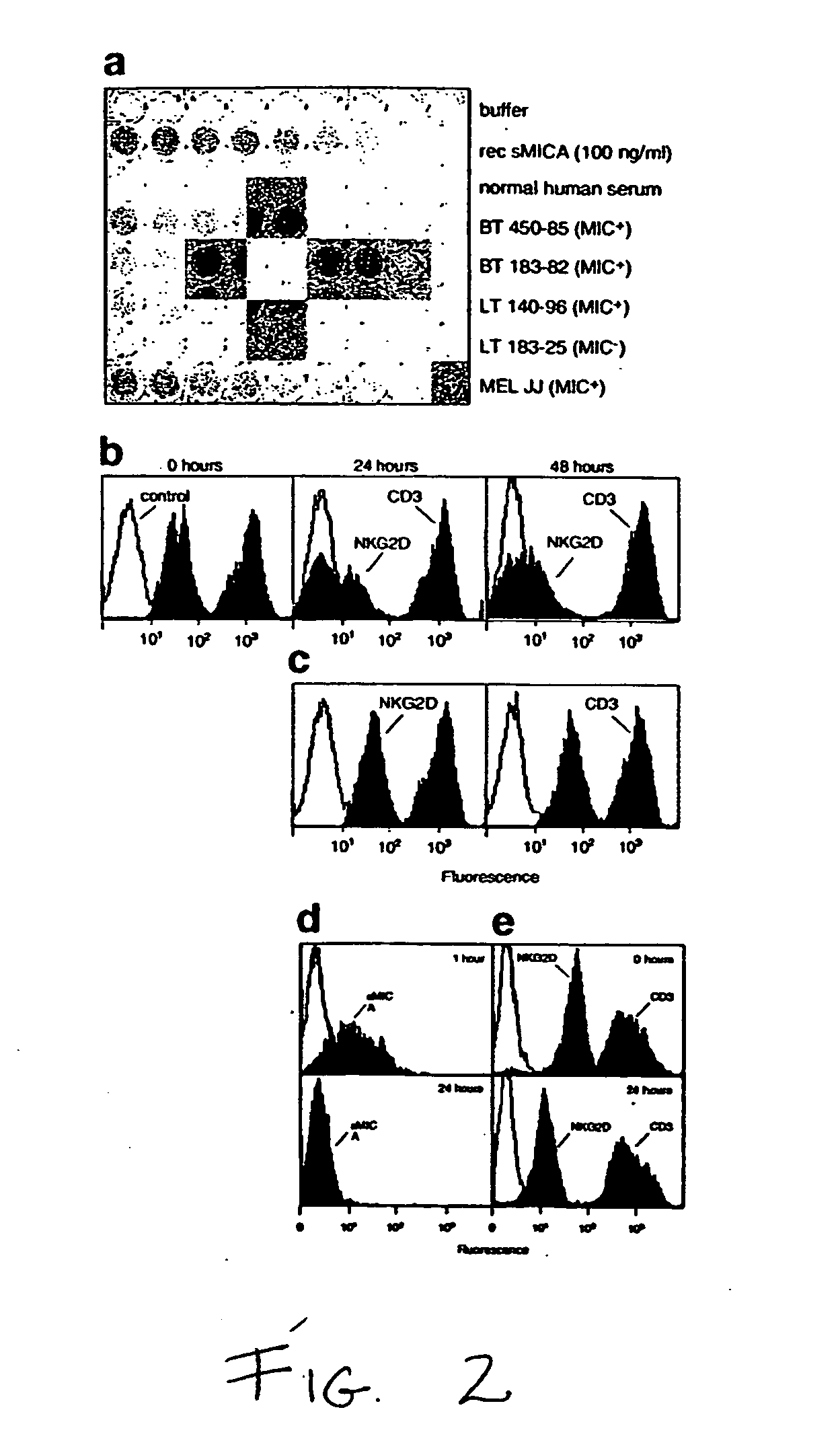 Soluble mic polypeptides as markers for diagnosis, prognosis and treatment of cancer and autoimmune diseases or conditions